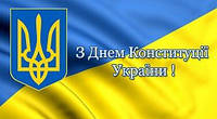 С днем Конституции Украины!