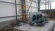 Камеры для охлаждения и хранения черешни. Мелитопольский р-н., с.Терпение. 15