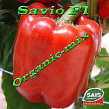 САВІО F1/SAVIO F1, насіння червоного кубоподібних перцю, проф. пакет 1000 насіння ТМ Sais (Італія), фото 3