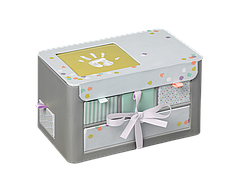 Baby Art Моя Маленька Шкатулка подарунок новонародженому