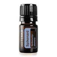 SPIKENARD ESSENTIAL OIL / Нард (Nardostachys jatamansi), эфирное масло, 5 мл