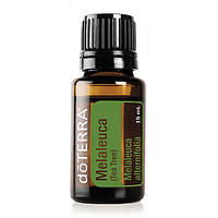 MELALEUCA ESSENTIAL OIL / Чайное дерево (Melaleuca alternifolia), эфирное масло, 15 мл