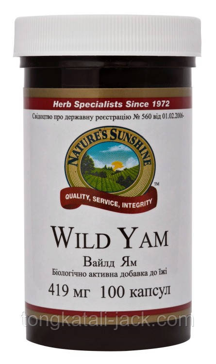 Вайлд Ям — Дикий Ямс (Wild Yam)