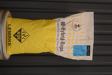 Озимий ріпак Артус Лембке