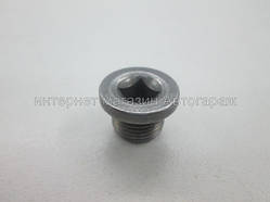 Болт масляного піддону Рено Трафік II 1.9/2.0/2.5 dCi - Sasic (Франція) 1630210