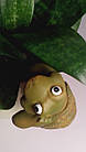 Стікер Черепаха ( Висячий великий) зелена