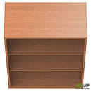 Шафа для документів OM-25 Омега Бук AMF, фото 6