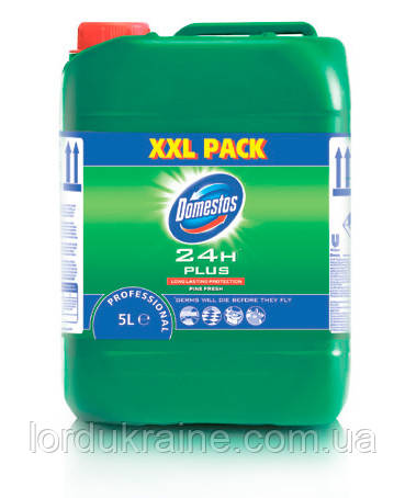 Мийний засіб для щоденного прибирання Domestos Professional Pine Fresh, 5 л