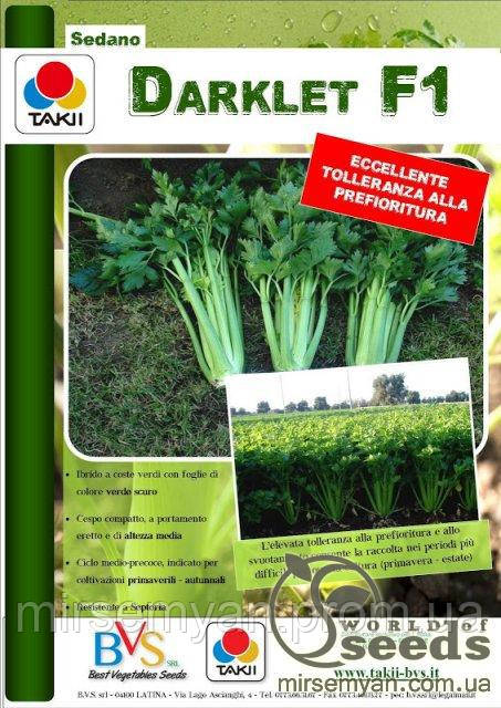 Черешкова селера "Дарклет" F1 10000 сем., Takii Seeds