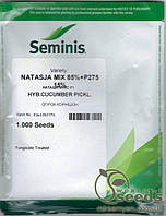 Огурец «Наташа» F1 1000 семян, Семинис (Seminis)