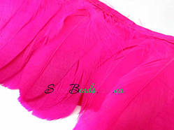 Пера гусячі -2, малинові