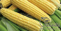 Семена сахарнок кукурузы "Суперсладкая" 1 кг