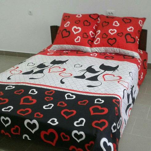 Двоспальний постільний комплект - Коти червоні