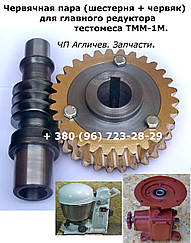 Черв'ячна пара в головний редуктор тестомісу ТММ-1М, шестірня і черв'як на тістоміс ТММ-1М