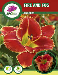 Лилейник Fire and Fog