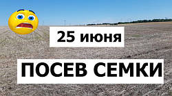 Посів соняшнику за технологією no-till 25 червня сівалкою John Deere 7200 з Precision Planting