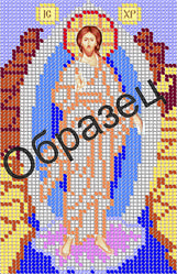 З-201 Схема для вишивання бісеромневаресія. 