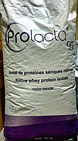 Изолят сывороточного белка 95% Lactalis Prolacta 95 (Франция)