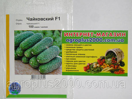 Насіння Огірок самозапильний Чайковський F1, 100 насінин Rijk Zwaan Агропак, фото 1