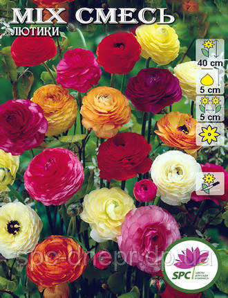Жовтець Ranunculus Mixed, фото 2