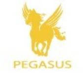 PEGASUS