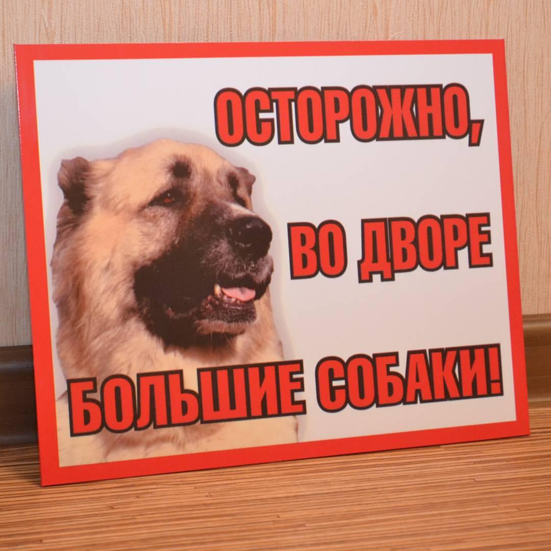 ОБЕРЕЖНО ЗЛИЙ СОБАКА ЗА 1 ГОДИНУ В КИЄВІ НА ОБОЛОНІ