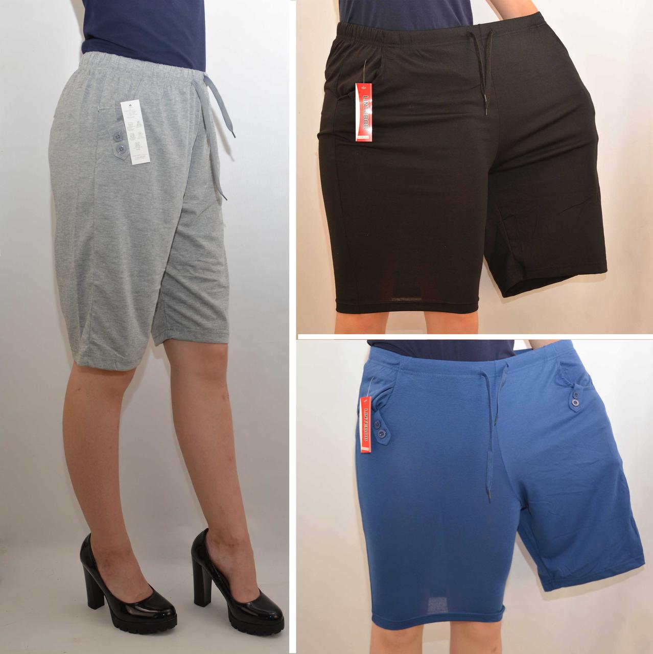 Шорти жіночі трикотажні великі розміри L — 5XL