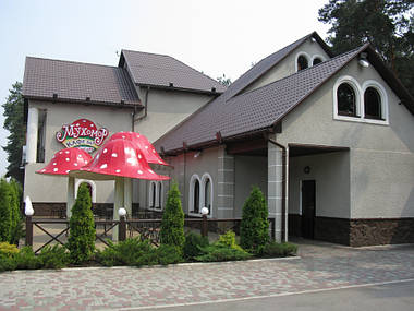 Муфта труби Rainway 90 Коричневий, фото 2