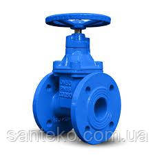 Засувка ДК50 Ру16 з погумованим клином EPDM, фото 1