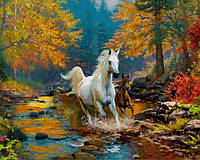Картины по номерам 40х50 см. Babylon Лошадь и жеребенок скачут по ручью (VP-925)