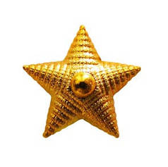 Зірка Украни велика золото.