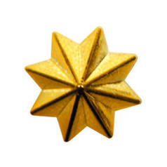 Зірка козаків № 2 золото