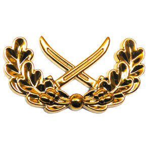 Лычка козаків 2 шаблі золото, фото 1