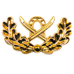 Лычка козака 2 шаблі - підкова золото