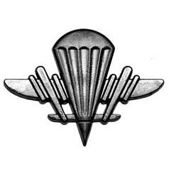 Емблема аеромобільних військ, нова, хакі