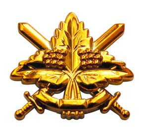 Емблема загальновійськова нова, золото
