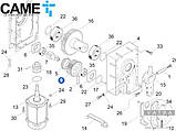 CAME 88003-0011 шестерня шлагбаума GARD 119G755А до G3250, G4040, G6500, G4000, G6000, фото 6