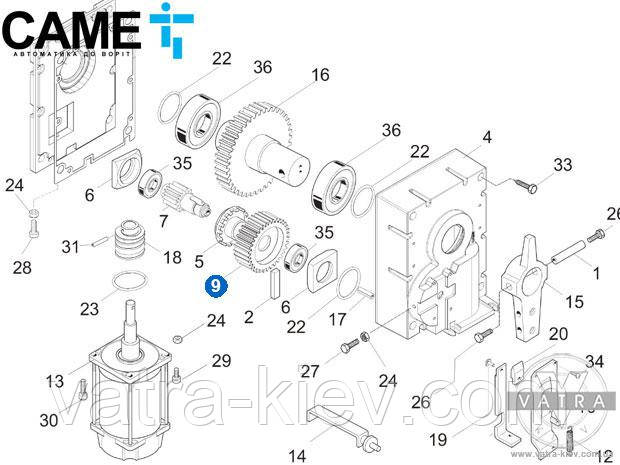 CAME 88003-0011 шестерня шлагбаума GARD 119G755А для GARD G3250, G4040, G6500, G4000, G6000 - фото 6 - id-p728634892