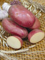 Вирощування з насіння картоплі