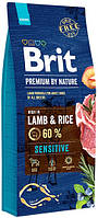 170843/6628 Brit Premium Sensitive Lamb & Rice, 3 кг