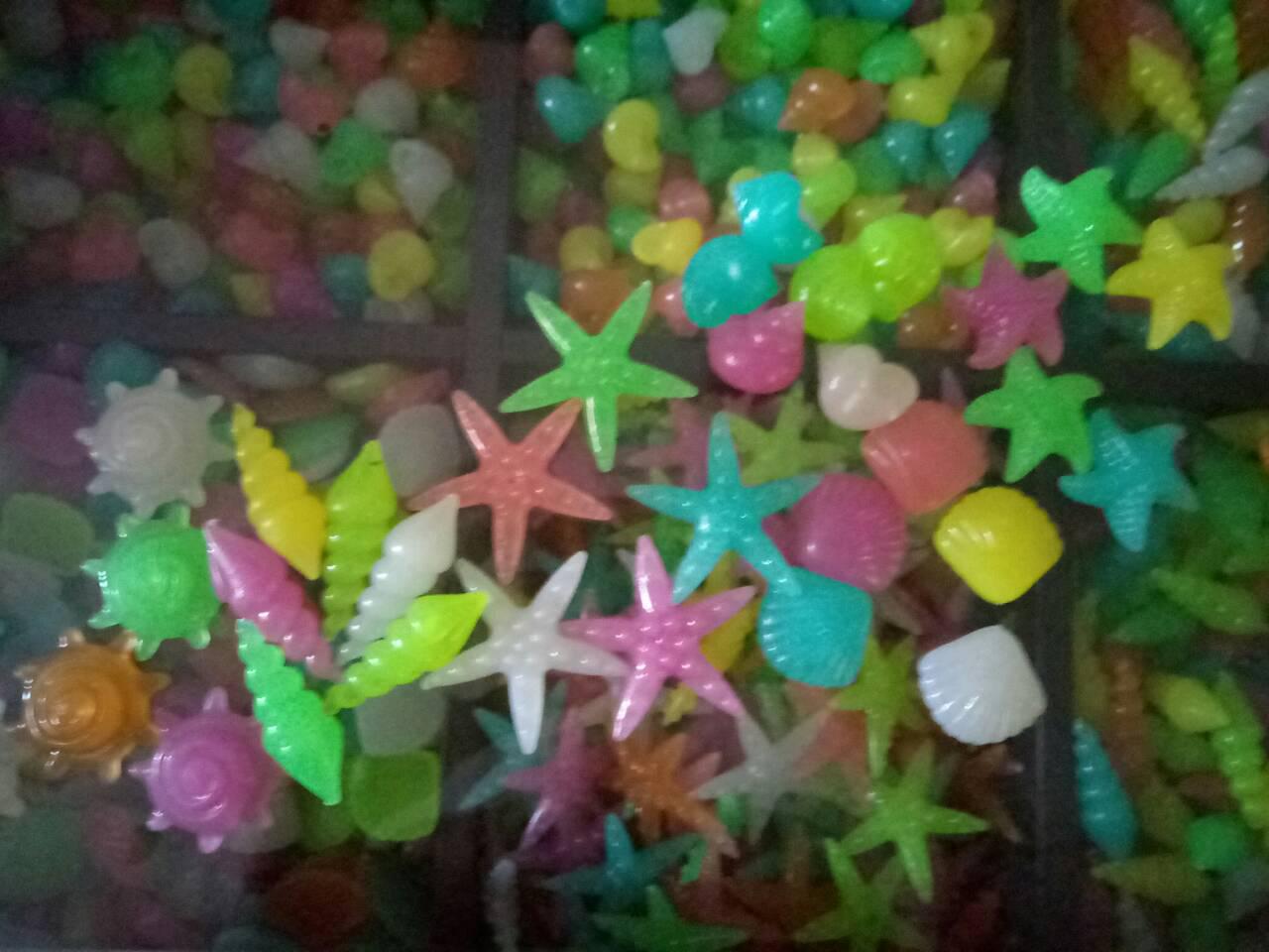 Мушлі, зірки для декору акваріумів, квартири, саду