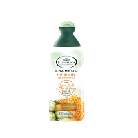 Поживний Шампунь для сухих і пошкоджених волосся L Angelica con Pappa Reale e Olio di Oliva, 250 мл