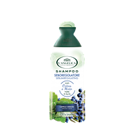 Шампунь L Angelica con Ortica e Mirto себорегулюючий для жирного волосся, 250 мл