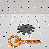 Диск зчеплення ПД 10 ромашка, фото 2