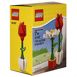 Конструктор Лего Lego Iconic Квіти 40187