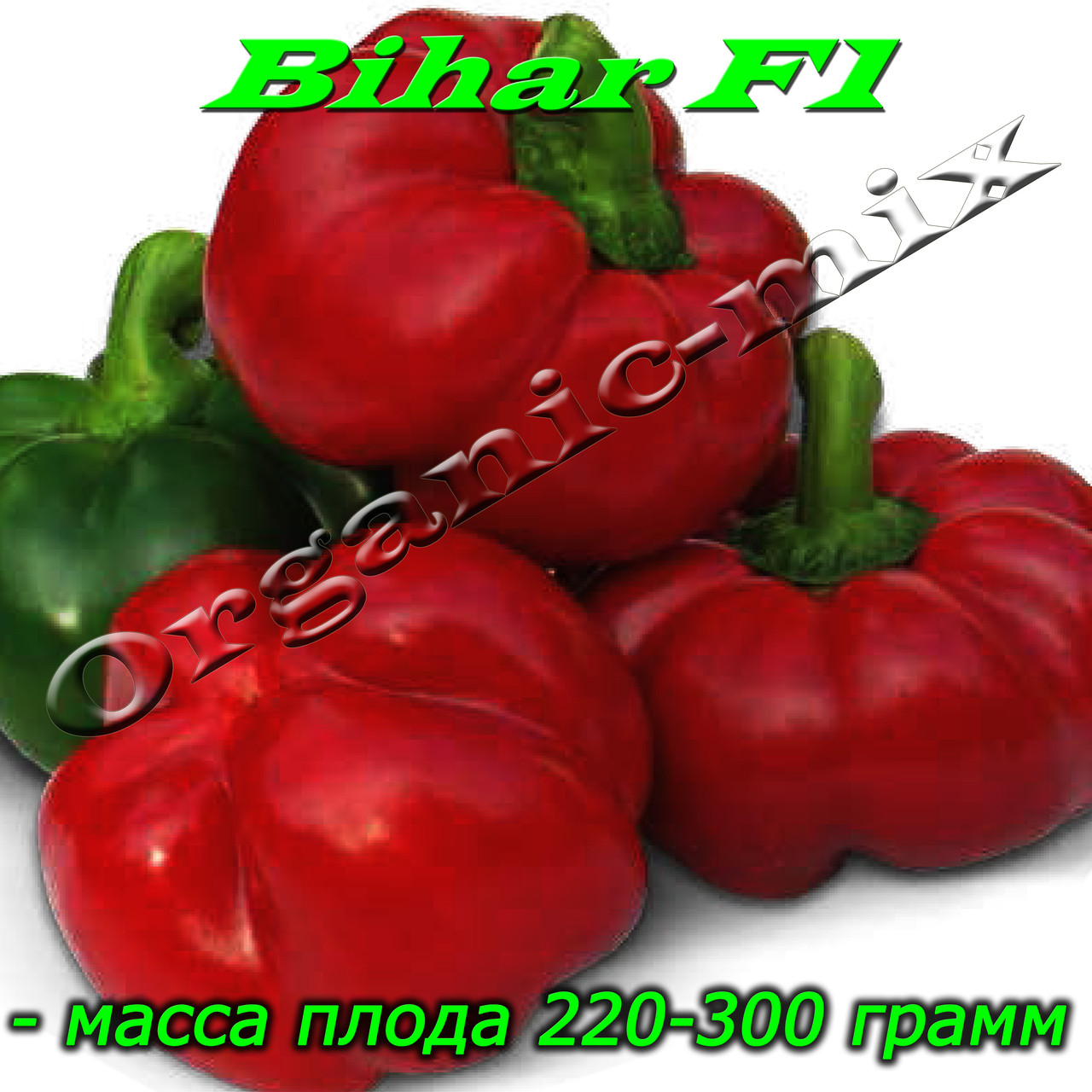 Перець ротунда БИХАР F1 / BIHAR F1, проф. пакет 500 насіння ТМ Lark Seeds (США)