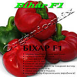 Перець ротунда БИХАР F1 / BIHAR F1, проф. пакет 500 насіння ТМ Lark Seeds (США), фото 3