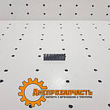 Пружина грузов бендикса редуктора ПД 10, фото 2