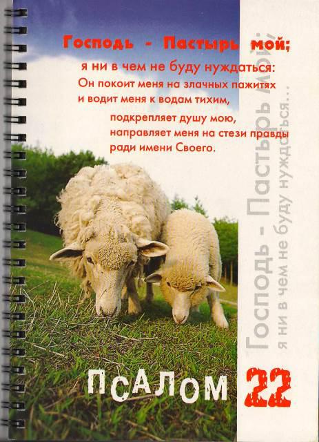 Укр.Зошит в клітинку з бічною спіраллю "Господь - Пастир мій, я ні в чому не буду потребувати" 45 л.