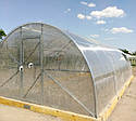 Теплиця Ельдорадо 4х10 під полікарбонат 4 мм стандарт (оцинкована труба 25х25 крок 1 метр), фото 4